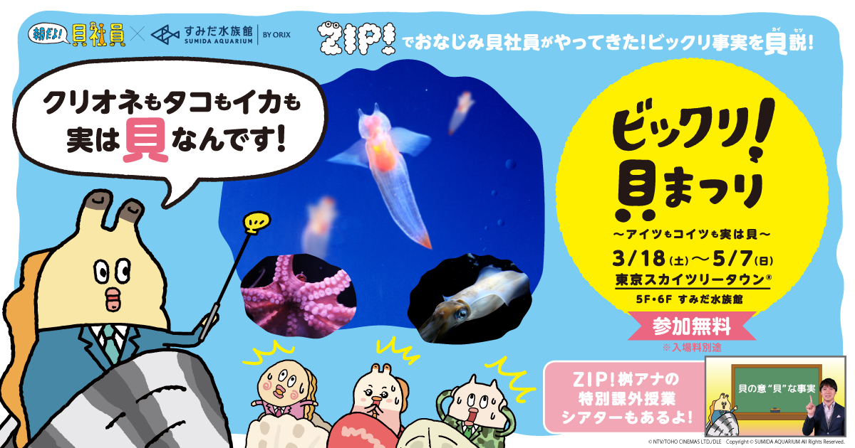 ビックリ！貝まつり ～アイツもコイツも実は貝～｜貝社員 公式サイト